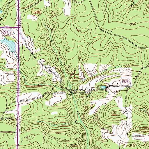 Topographic Map of Bright Pond Dam, NC