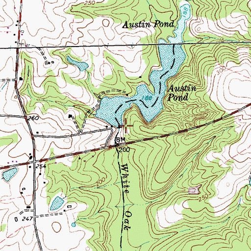 Topographic Map of Austins Pond Dam, NC
