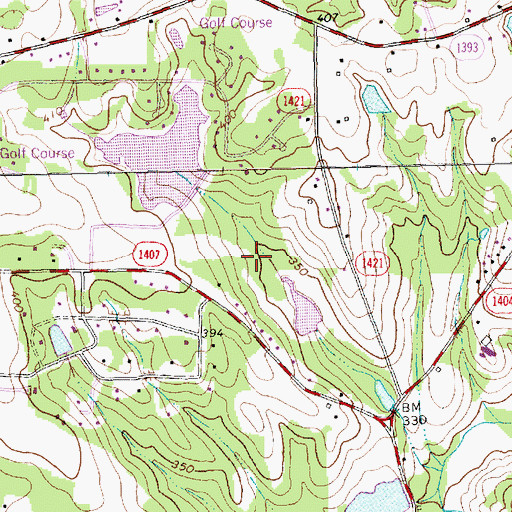 Topographic Map of Slaughter Pond Dam, NC