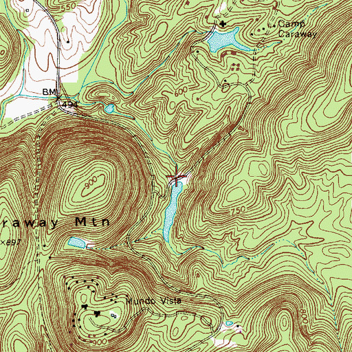 Topographic Map of Caraway Dam Number Two, NC
