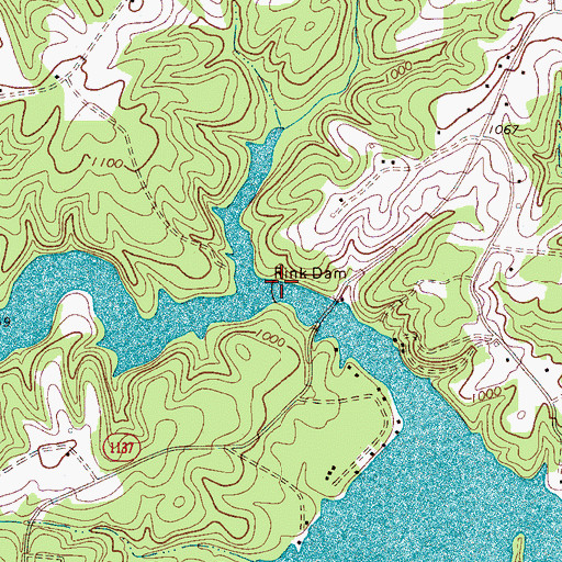 Topographic Map of Rink Lake, NC