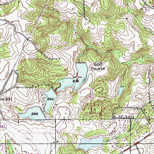 Topographic Map of Lower Lake, NC