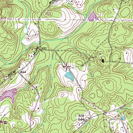 Topographic Map of Strayhorn Pond, NC