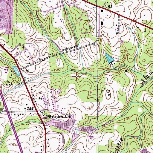 Topographic Map of Pegram Lake, NC